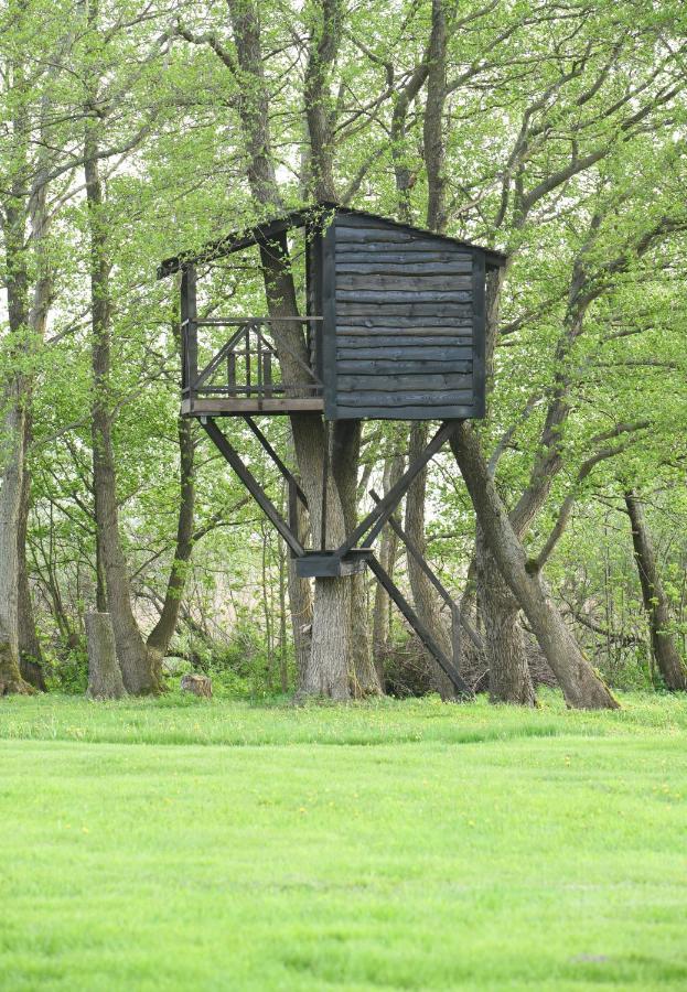 Kaimo Turizmo Sodyba Satavi Vila Kinty Exterior foto