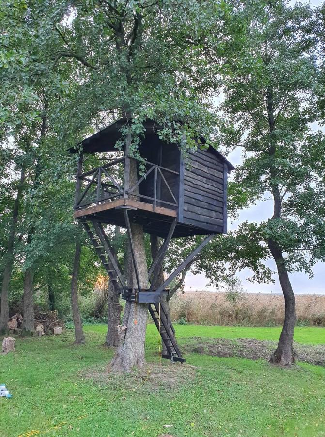 Kaimo Turizmo Sodyba Satavi Vila Kinty Exterior foto