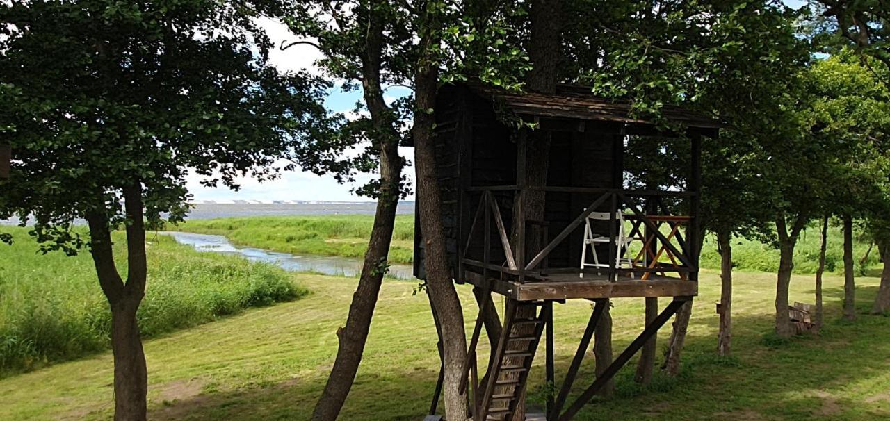 Kaimo Turizmo Sodyba Satavi Vila Kinty Exterior foto